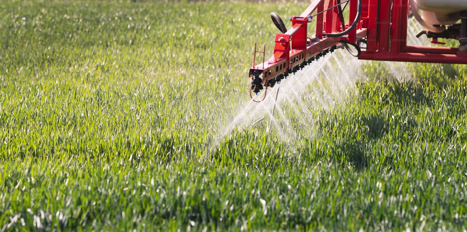 Pesticide - Protectia plantelor